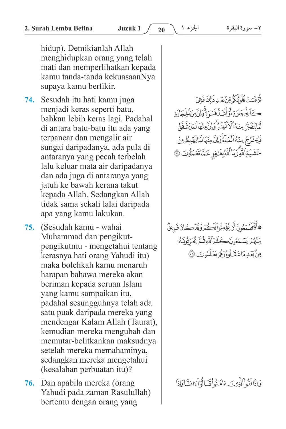 Lembu Betina