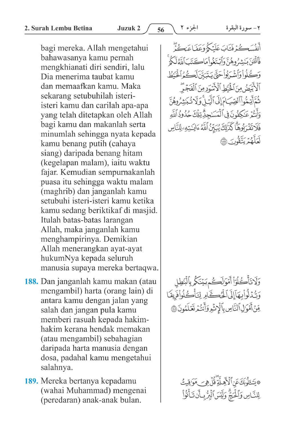 Lembu Betina